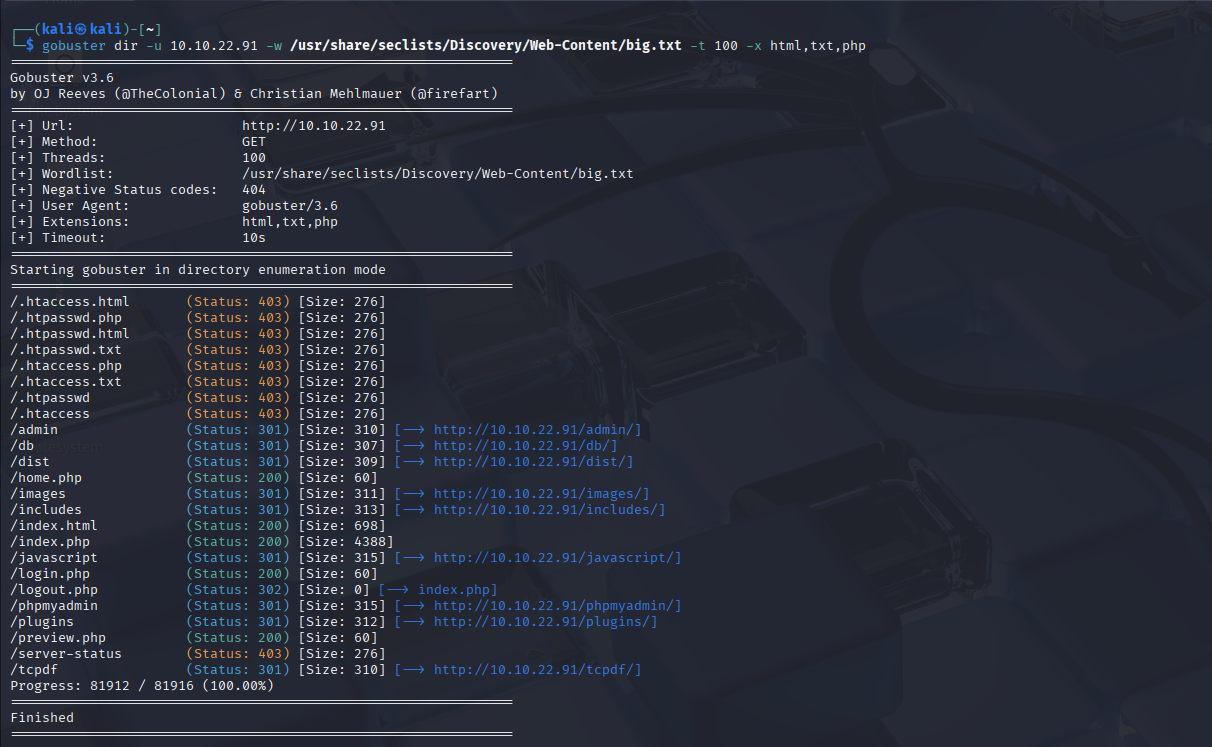 Gobuster directory brute force on RT-Pen101